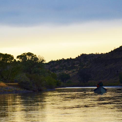 Montana Fly Fishing, Yellowstone River, Montana Fishing Outfitters