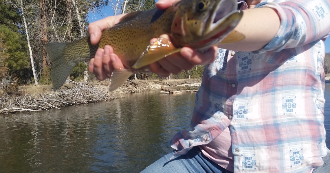 Missoula fly fishing