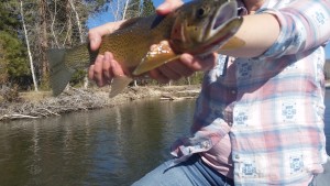 Missoula fly fishing