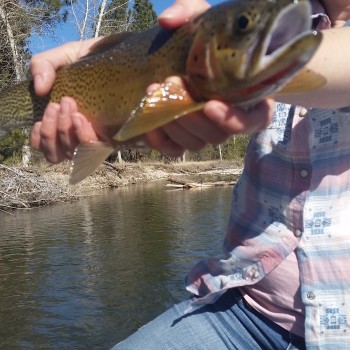 Missoula fly fishing