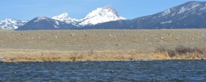 Madison River Fly FIshing Trips, Guided Montana Fly Fishing